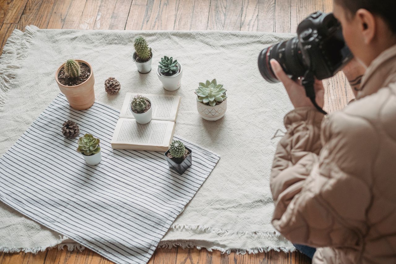 Portfolio A photographer takes detailed shots of succulents indoors using a DSLR camera.